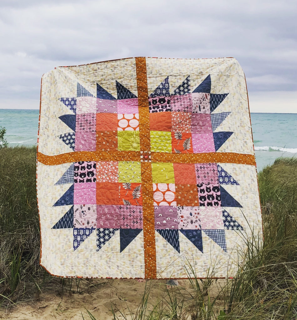 Wash Your Paws Quilt FREE PATTERN
